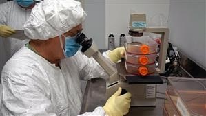 &quot;Drug Detox Centers in Florida